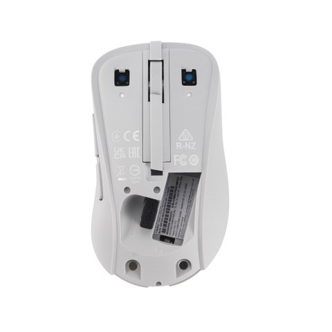 ASUS Wireless Mouse MD102 myszka Uniwersalne Po prawej stronie RF Wireless + Bluetooth Optyczny 1600 DPI