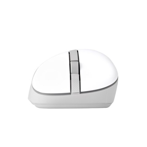 ASUS Wireless Mouse MD102 myszka Uniwersalne Po prawej stronie RF Wireless + Bluetooth Optyczny 1600 DPI