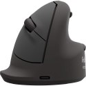 Fellowes 100143582 myszka Uniwersalne Po prawej stronie Bluetooth + USB Type-C Optyczny 2400 DPI