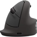 Fellowes 100143583 myszka Uniwersalne Po lewej stronie Bluetooth + USB Type-C Optyczny 2400 DPI