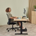 Fellowes 100143583 myszka Uniwersalne Po lewej stronie Bluetooth + USB Type-C Optyczny 2400 DPI