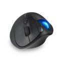 Kensington Pro Fit Ergo TB450 myszka Biuro Po prawej stronie RF Wireless + Bluetooth Manipulator kulkowy 1600 DPI