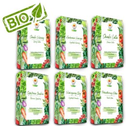 TORAF ZESTAW NASION - SET 1+2+3+4+5+6 2024 TORAF 63X1SZT