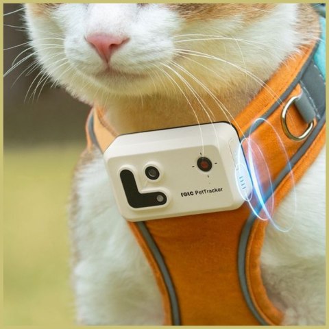 Lokalizator GPS ENABOT dla psa lub kota żółty