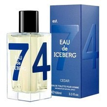 Iceberg Eau de Iceberg Cedar pour Homme EDT 100 ml