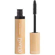 Attitude Oceanly Mascara + Serum 7 g Brown