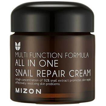Mizon All In One Snail Repair Cream 92 % 75 ml