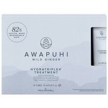 Paul Mitchell Awapuhi Wild Ginger Hydratriplex Treatment 100 ml