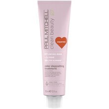 Paul Mitchell Clean Beauty Color Protect Color Depositing Treatment 150 ml Vanilla