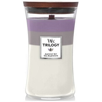 WoodWick Amethyst Sky Trilogy Vase Scented candle 609.5 g