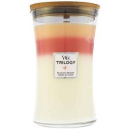 WoodWick Blooming Orchard Trilogy Vase ( Blooming Orchard ) 609.0 g