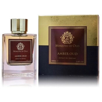 Paris Corner Amber Oud Extrait de Parfum 100 ml