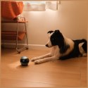 Inteligentny robot towarzyszący ENABOT EBO Air 2 różowy
