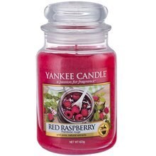 Red Raspberry Candle - Raspberry Candle