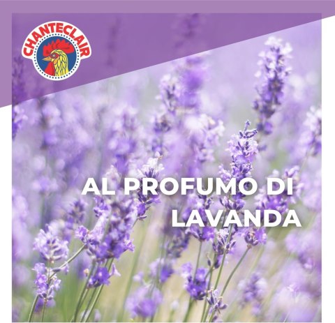 Chanteclair Sagrassatore Uniwersalny Odtłuszczacz Lavanda 700 ml