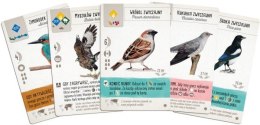 Gra Na Skrzydłach Dodatek: Ptaki Europy