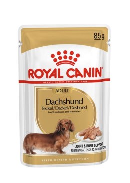 Royal Canin BHN Dachshund Adult - mokra karma dla psa dorosłego - 12x85g