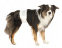 TRIXIE - pieluchy dla psów - rozmiar: S-M 23641
