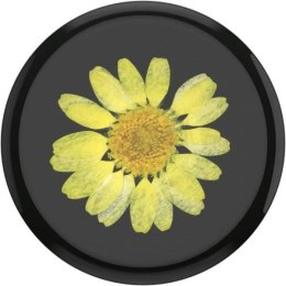 POPSOCKETS Uchwyt do telefonu Premium Pressed Flower Yellow Daisy