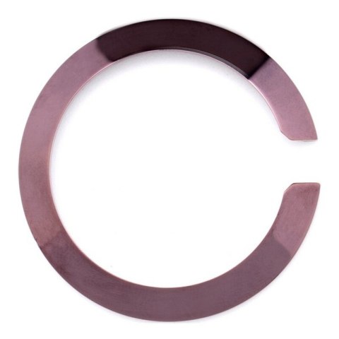 Zegarek Bezel Glam Rock GS30058