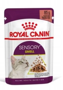 Karma Royal Canin Sensory Smell gravy 12x85g