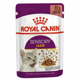Karma Royal Canin Sensory Taste gravy 12x85g