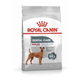 ROYAL CANIN CCN Medium Dental Adult - sucha karma dla dorosłych psów - 3kg