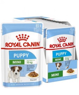 ROYAL CANIN SHN Mini Puppy w sosie - mokra karma dla szczeniąt - 12X85 g