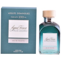 Perfumy Męskie Agua Fresca Citrus Cedro Adolfo Dominguez EDT - 60 ml