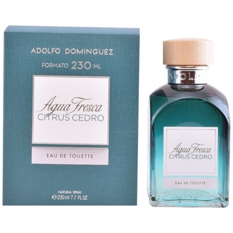 Perfumy Męskie Adolfo Dominguez EDT - 120 ml