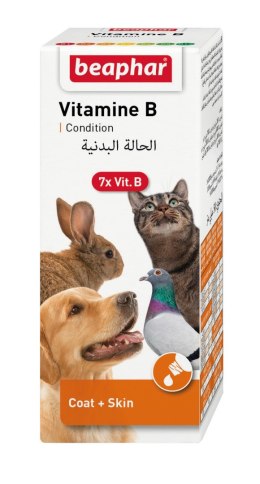 BEAPHAR Vitamin B Complex -7witamin z grupy B zwierzęta domowe 50ml
