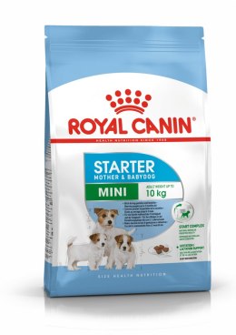 ROYAL CANIN SHN Mini Starter Mother & Babydog - sucha karma dla suk w ciąży i okresie laktacji oraz szczeniąt - 8 kg