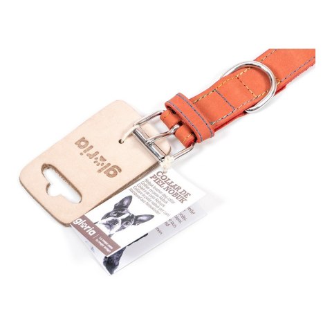 Obroża dla psa Gloria Oasis Czerwony (1,5 x 40 cm)