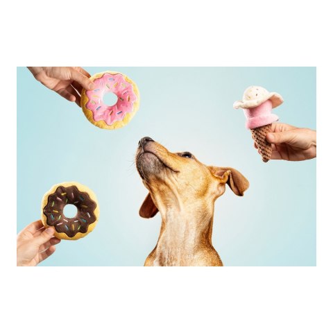 Zabawka Pluszowa dla psa Gloria Gloicecream Wielokolorowy Poliester polipropylen Lód 9 x 9 x 17 cm