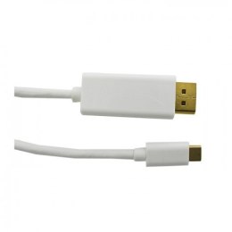 Kabel Qoltec 50412 (USB typu C M - DisplayPort M; 1m; kolor biały)
