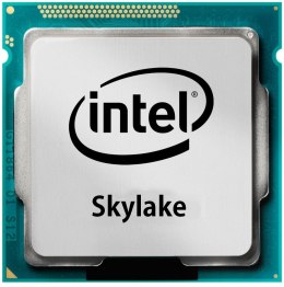 Procesor Intel Celeron G3900 CM8066201928610 945385 (2800 MHz (min); LGA 1151; Tray)